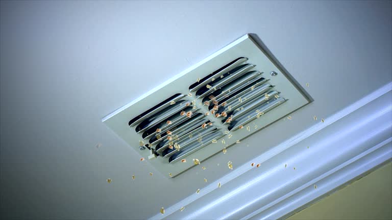 Best Best Air Duct Cleaning Company  in Roan Mountain, TN