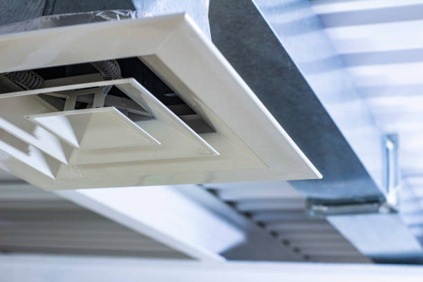 Best HVAC Duct Inspection Services  in Roan Mountain, TN