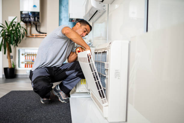 Best Dryer Vent Cleaning Services  in Roan Mountain, TN