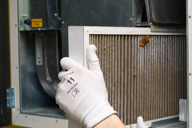 Best Dryer Vent Cleaning Services  in Roan Mountain, TN