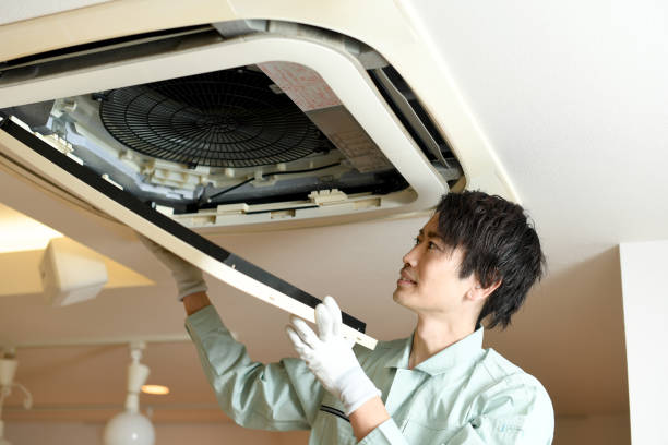 Best Ductwork Cleaning Services  in Roan Mountain, TN