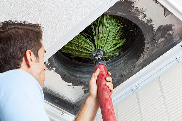 Best Affordable Air Duct Cleaning  in Roan Mountain, TN