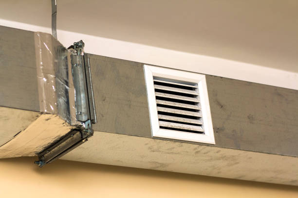 Best HVAC Duct Inspection Services  in Roan Mountain, TN